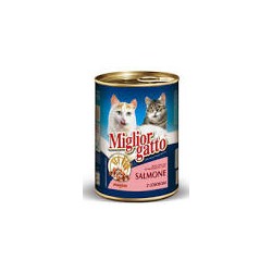 Miglior gatto bocconi salmone gr 400