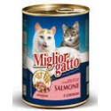 Miglior gatto bocconi salmone gr 400