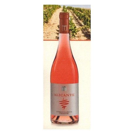 Vino Calabria IGP  "Alcante" rosato cl.75